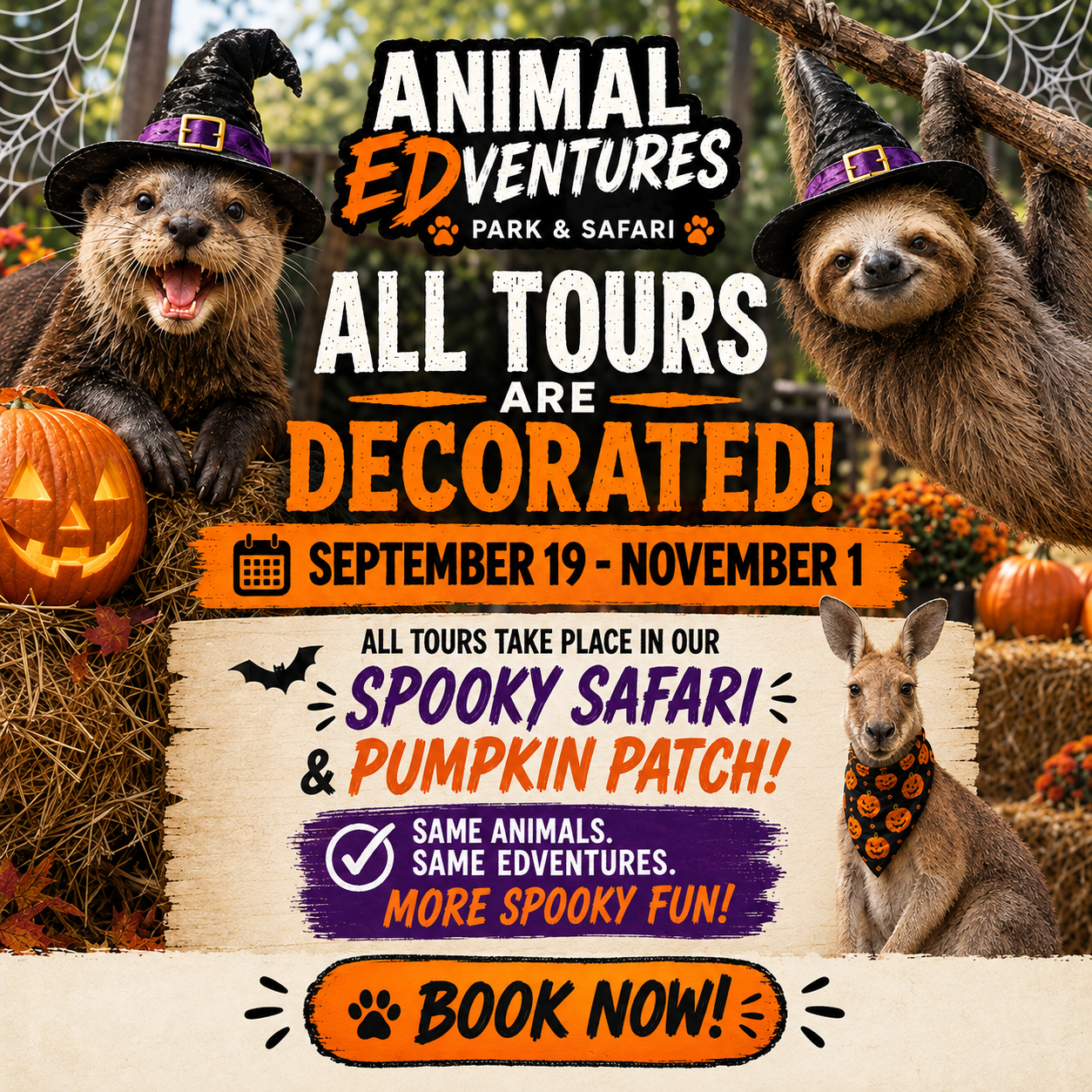 Sppoky Safari and Pumpkin Patch Event Flyer!